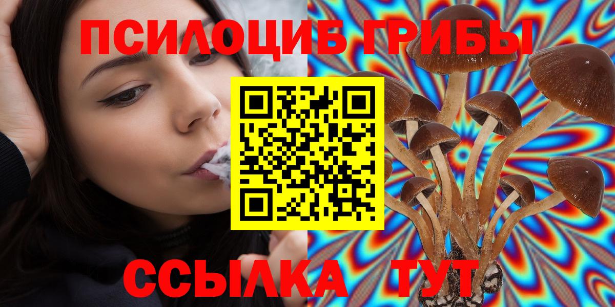 Галлюциногенные грибы GOLDEN TEACHER Щёлково